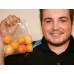 APRICOTS 500 GRAM BAG HASTINGS GROWN